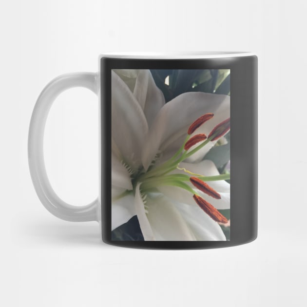 Soothing, Relaxing, Pure White Oriental Lily - For Friendship and Weddings by Bucklandcrafts